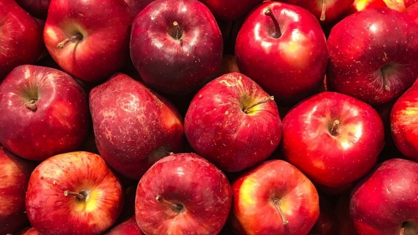 Bea genes sens etileno.jpg